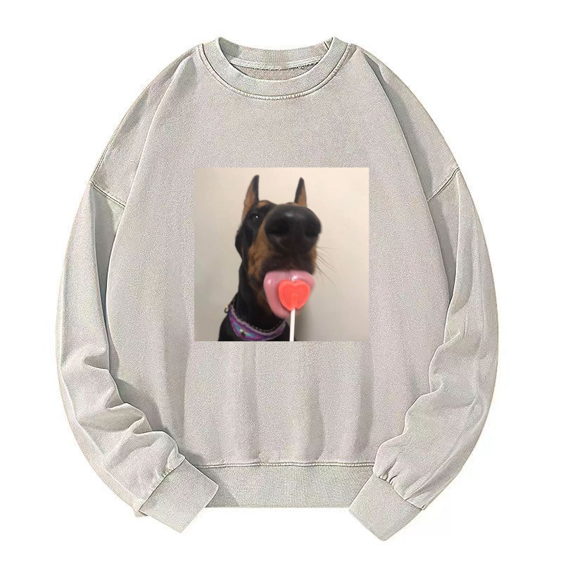 Candy dog Washed Sweatshirt