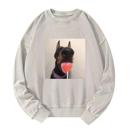 Candy dog Washed Sweatshirt