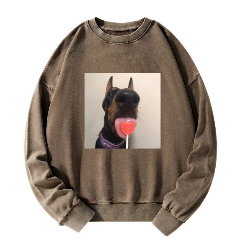Candy dog Washed Sweatshirt