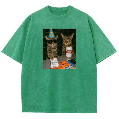 Birthday Buddies Washed T-shirt