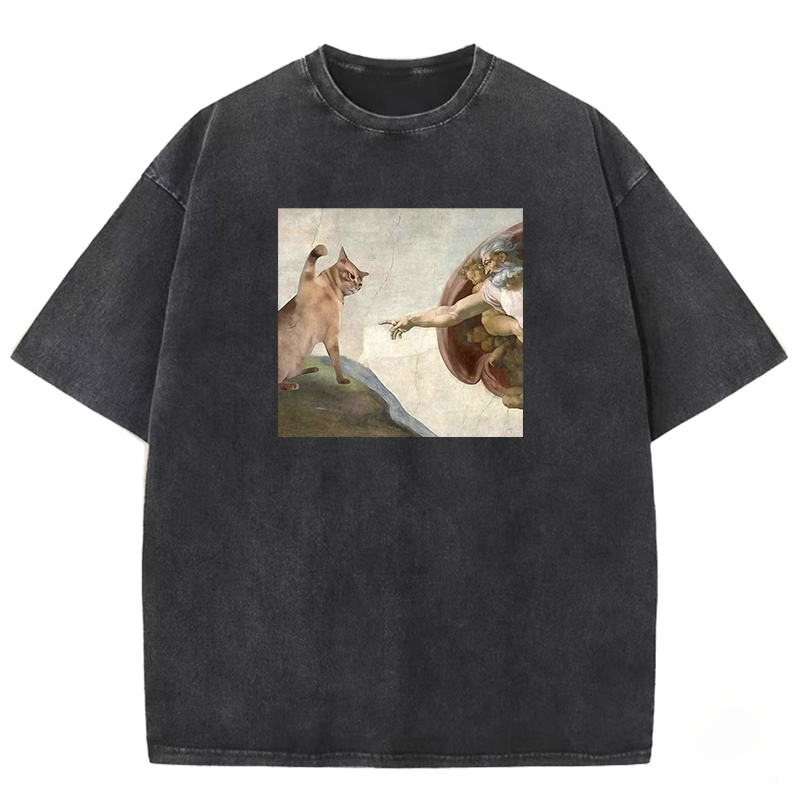 The Creation of Cat Washed T-shirt