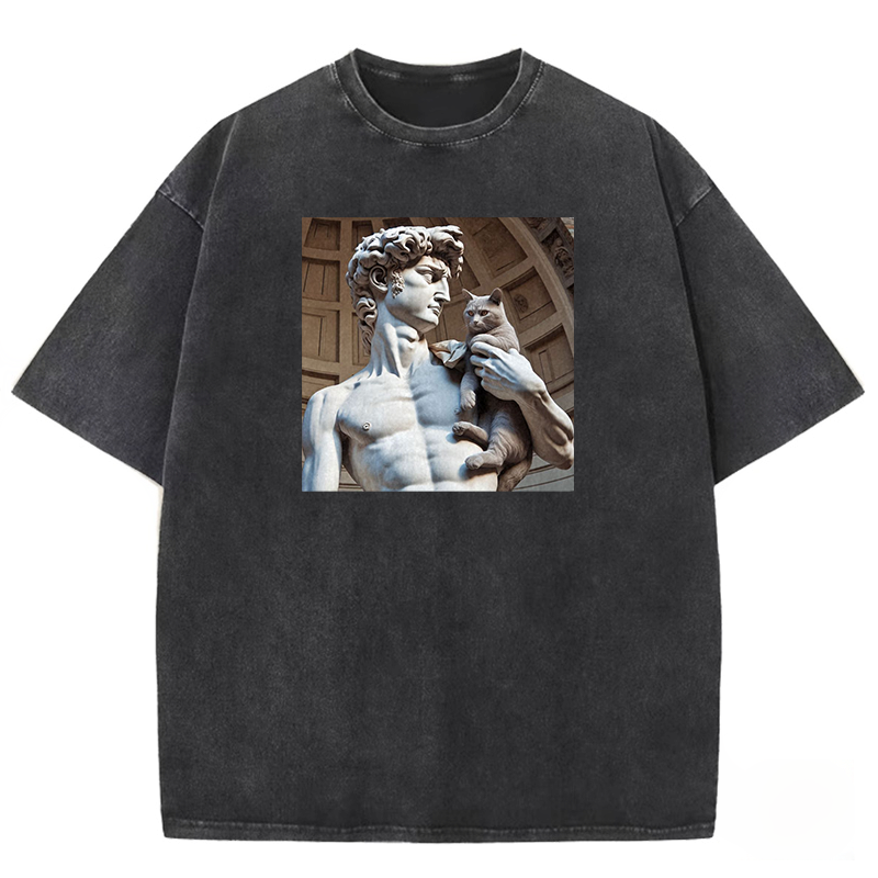David's Companion Washed T-shirt