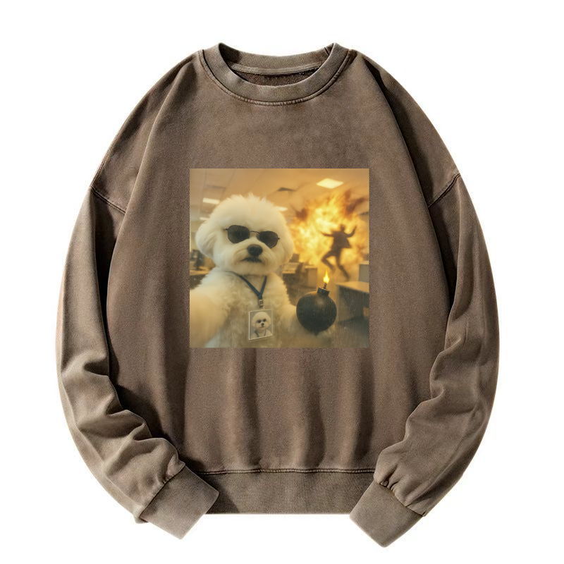 Wacky Dog Washed Sweatshirt