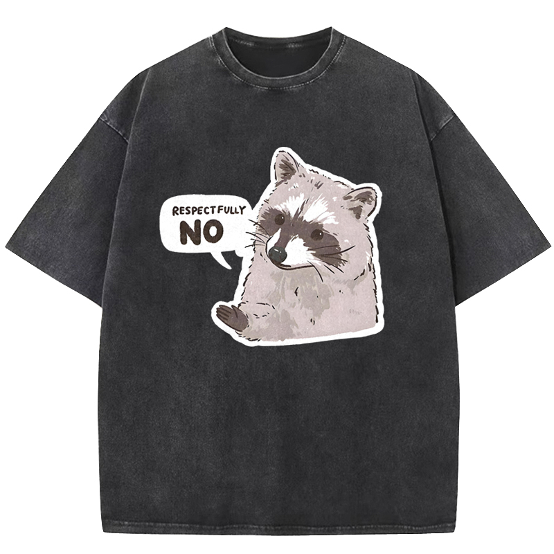 Raccoon Respectfully No Washed T-shirt
