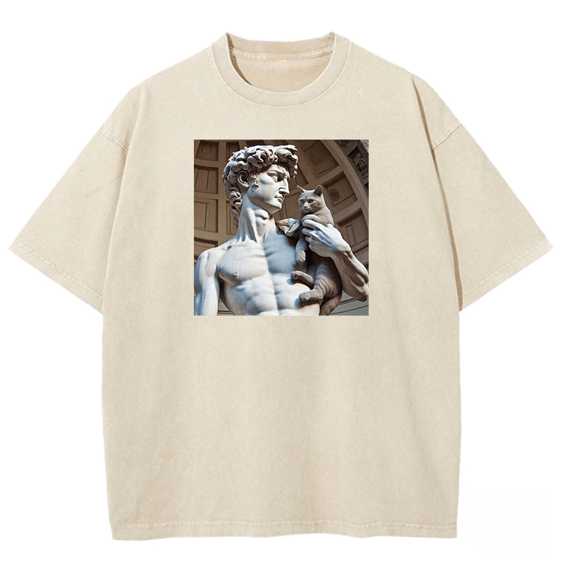 David's Companion Washed T-shirt
