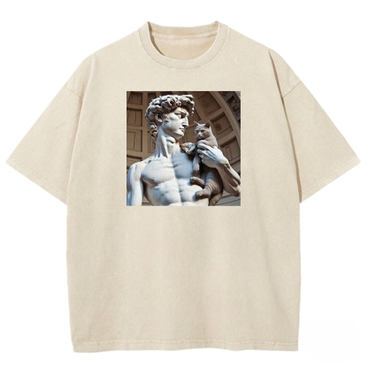 David's Companion Washed T-shirt