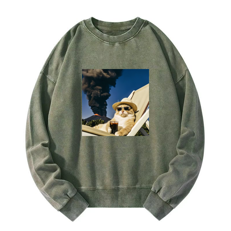 Wacky Cat Washed Sweatshirt