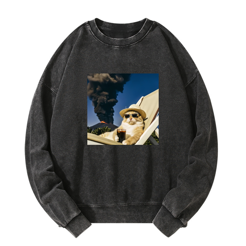 Wacky Cat Washed Sweatshirt
