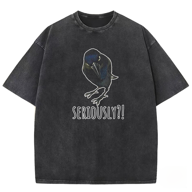 Raven's Question Washed T-shirt
