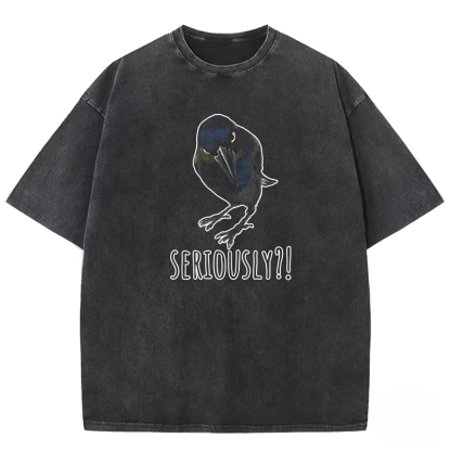 Raven's Question Washed T-shirt