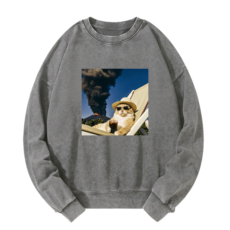 Wacky Cat Washed Sweatshirt