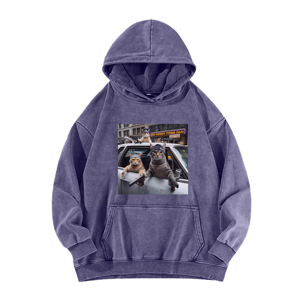 Whiskered Street Warriors Washed Hoodie