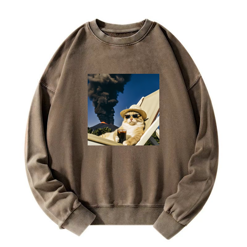 Wacky Cat Washed Sweatshirt