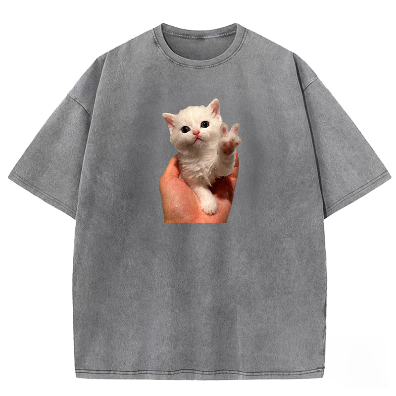 Wacky Cat Washed T-shirt