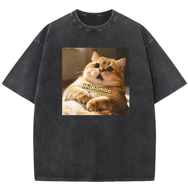 Mi Bombo Washed T-shirt