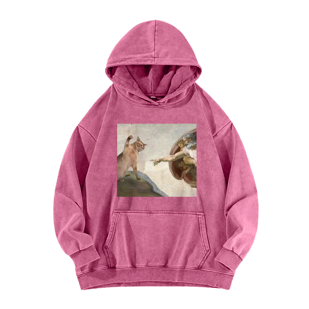 The Creation of Cat Washed Hoodie