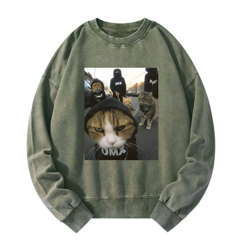 Wacky Cats Washed Sweatshirt
