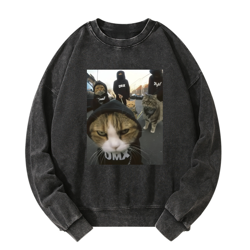Wacky Cats Washed Sweatshirt
