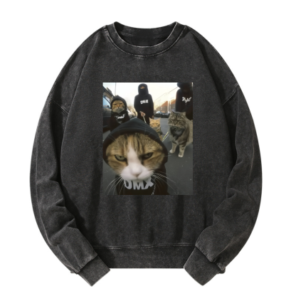 Wacky Cats Washed Sweatshirt