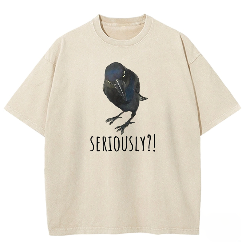 Raven's Question Washed T-shirt