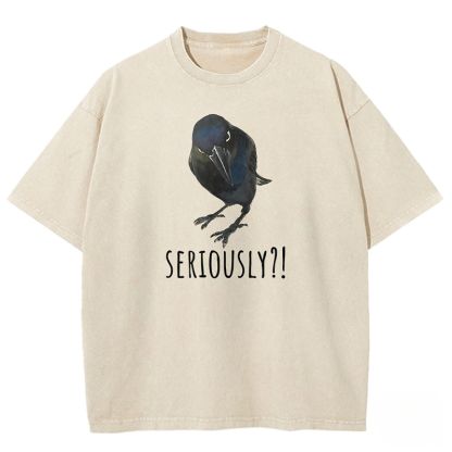 Raven's Question Washed T-shirt