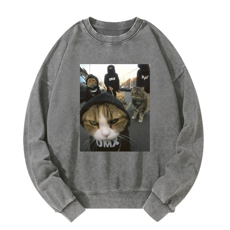 Wacky Cats Washed Sweatshirt