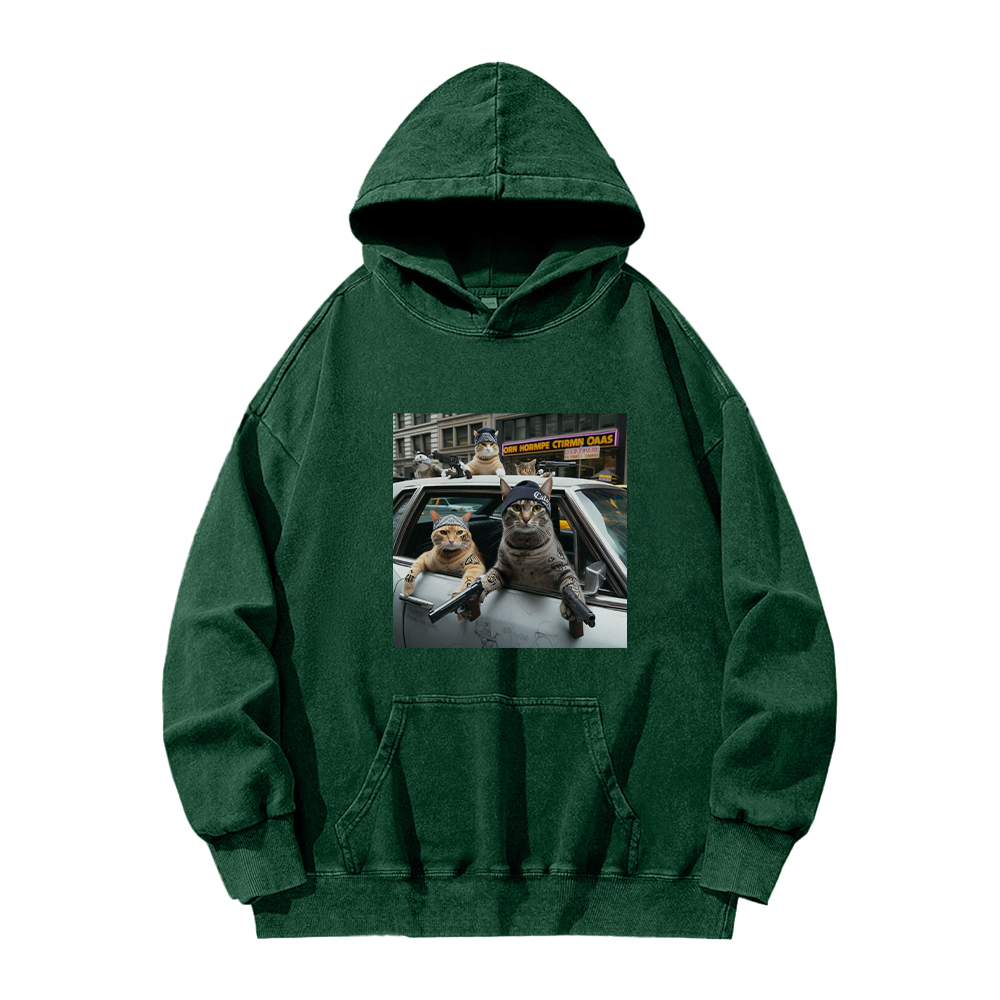 Whiskered Street Warriors Washed Hoodie