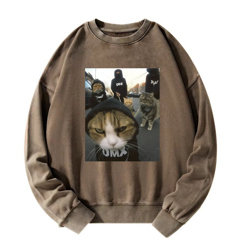 Wacky Cats Washed Sweatshirt