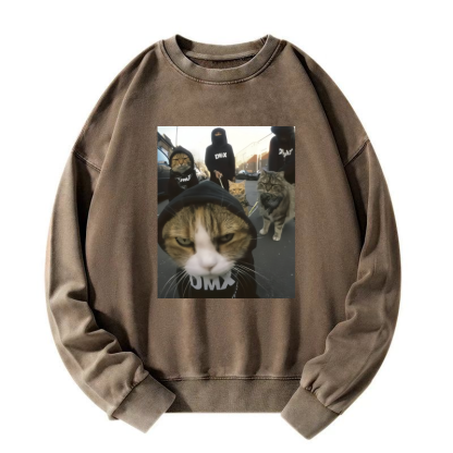 Wacky Cats Washed Sweatshirt