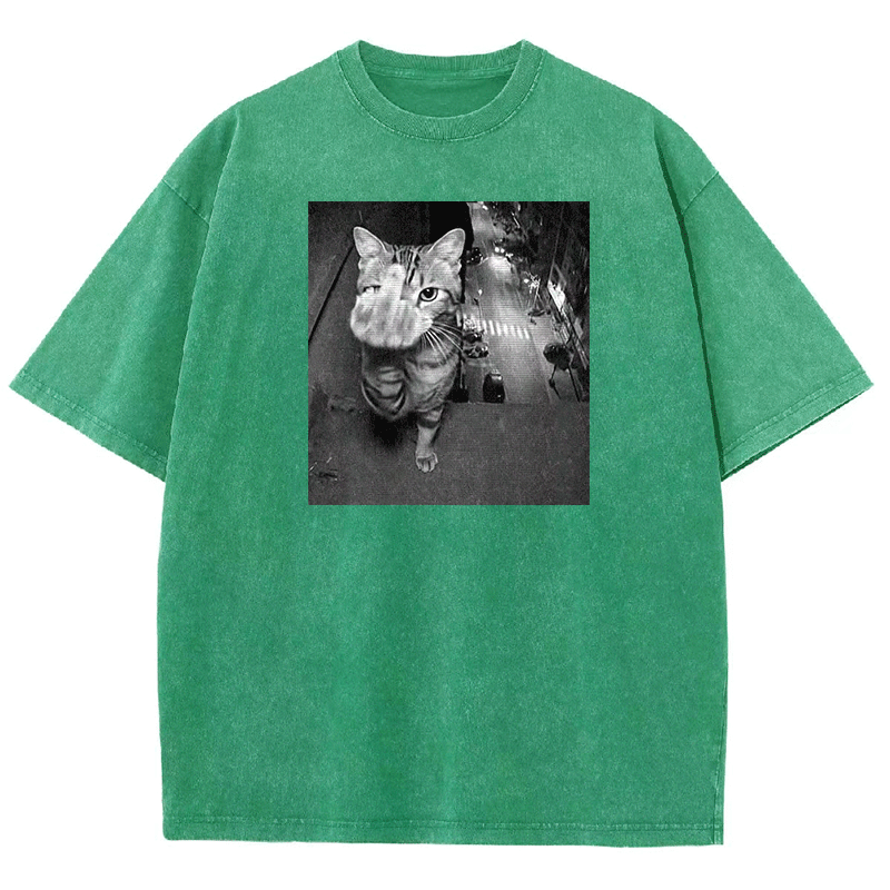 Surveillance Kitty Washed T-shirt