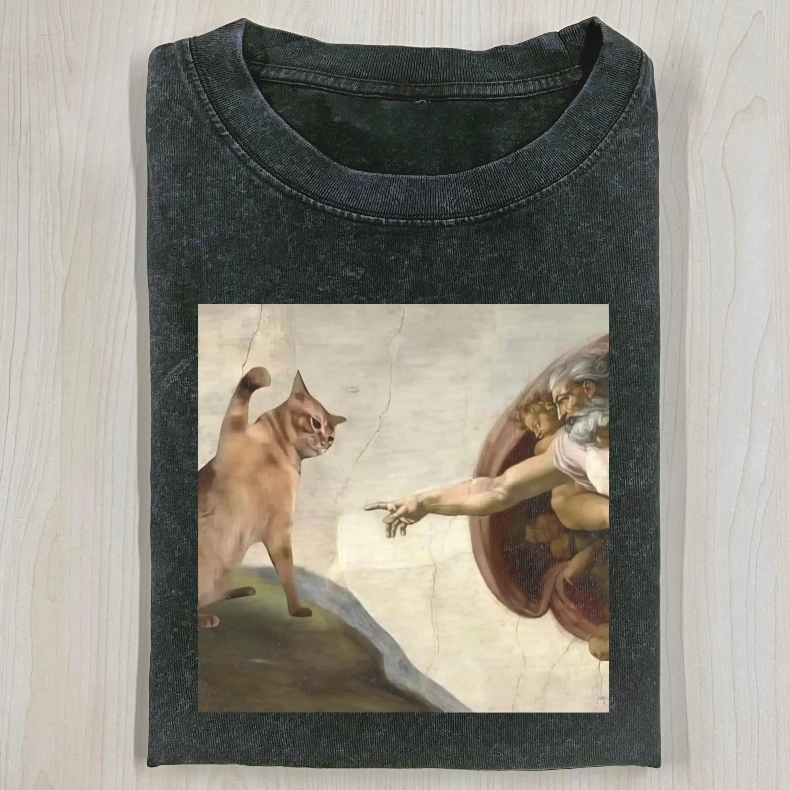 Cat washed T-shirt featuring unique art design, soft fabric, and relaxed fit for casual comfort and style.