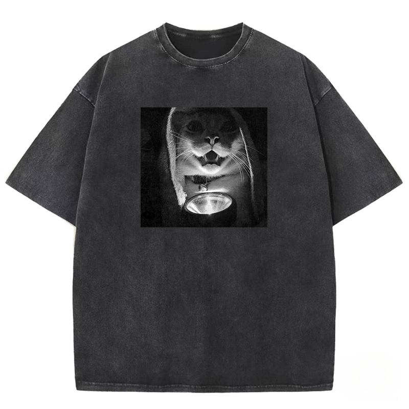 Mystery Lantern Cat Washed T-shirt