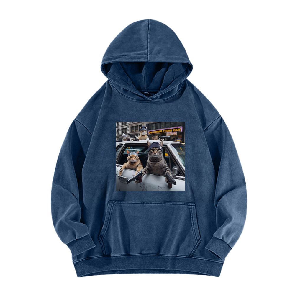 Whiskered Street Warriors Washed Hoodie