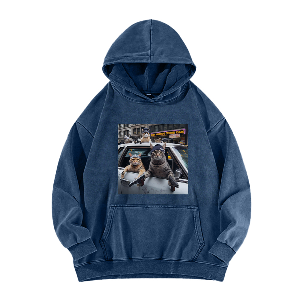 Whiskered Street Warriors Washed Hoodie