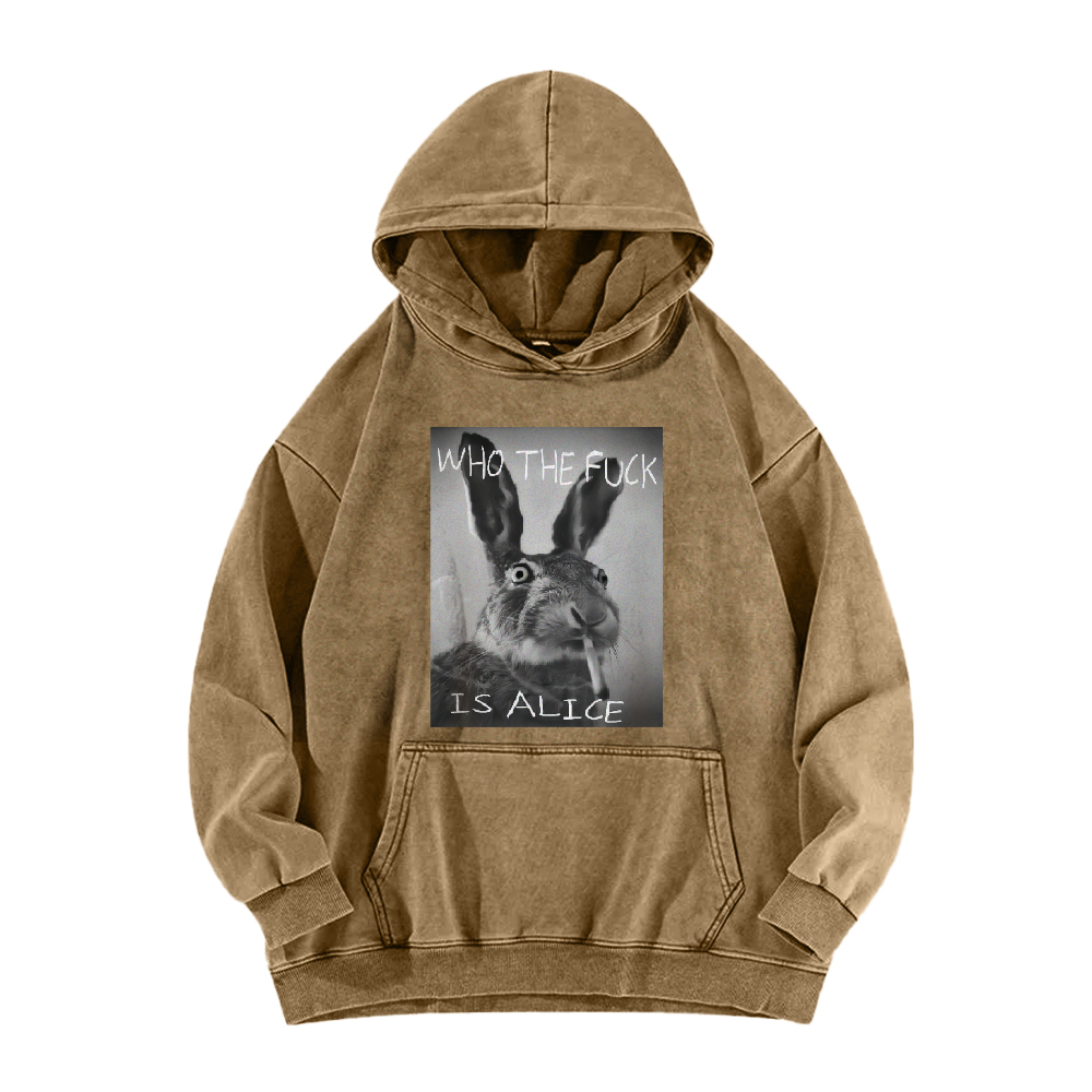 Who The Fck ls Alice Washed Hoodie