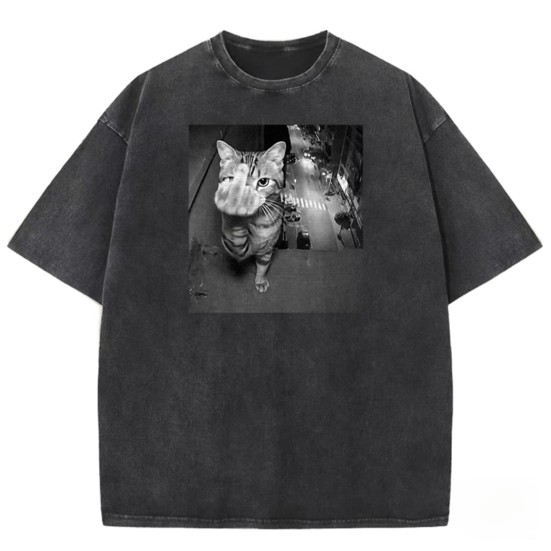 Surveillance Kitty Washed T-shirt