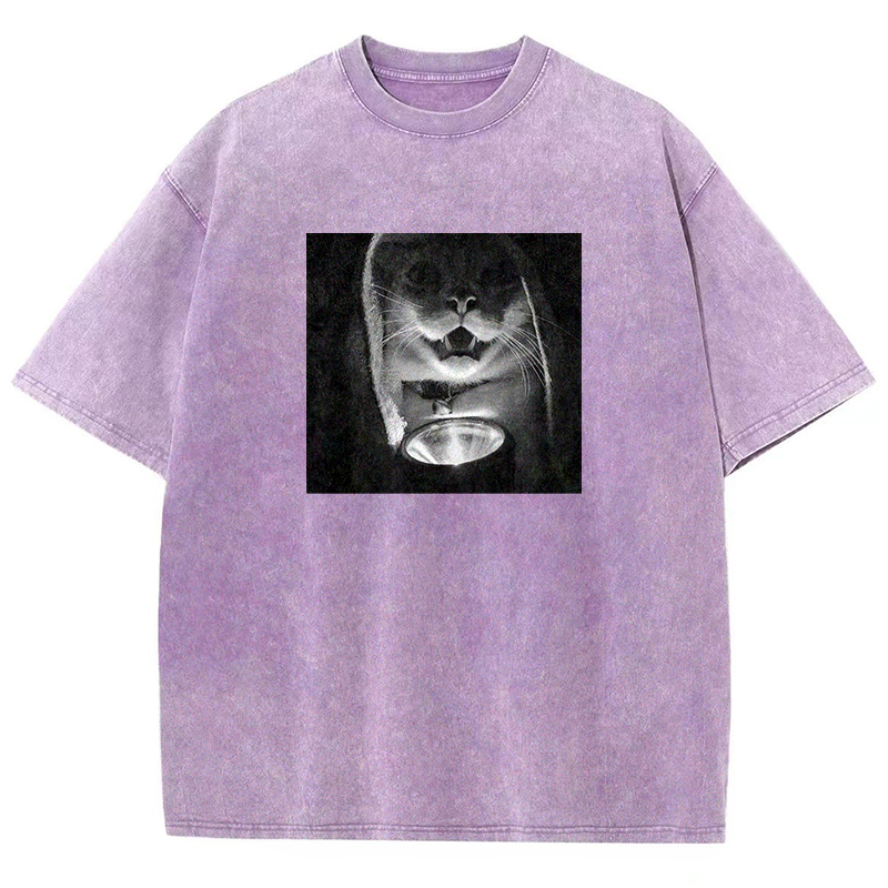 Mystery Lantern Cat Washed T-shirt