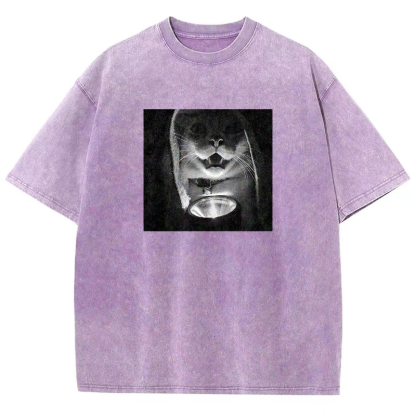 Mystery Lantern Cat Washed T-shirt