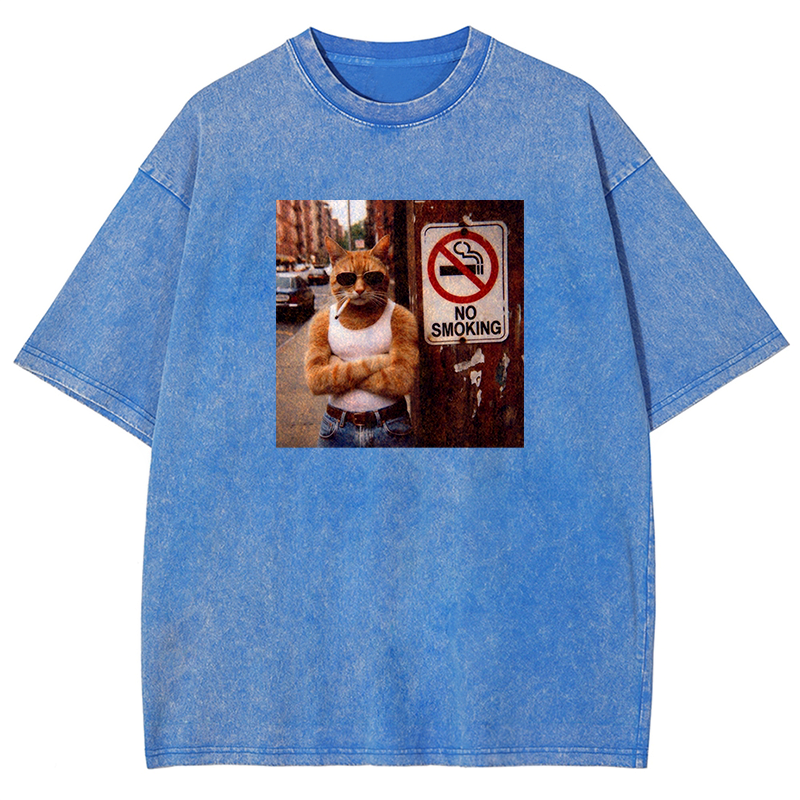 Cool Cat No Smoking Washed T-shirt