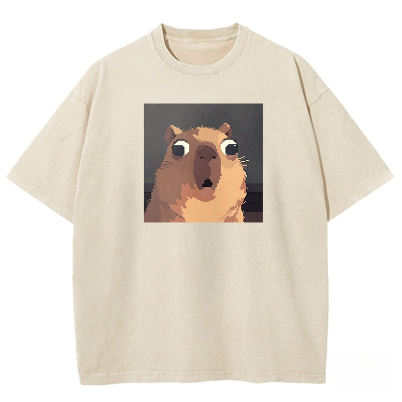 Shocked Pixel Cat Washed T-shirt