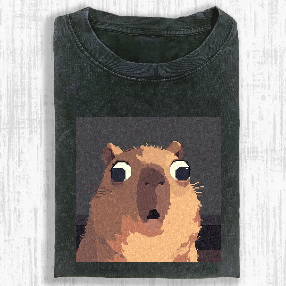Shocked Pixel Cat Washed T-shirt