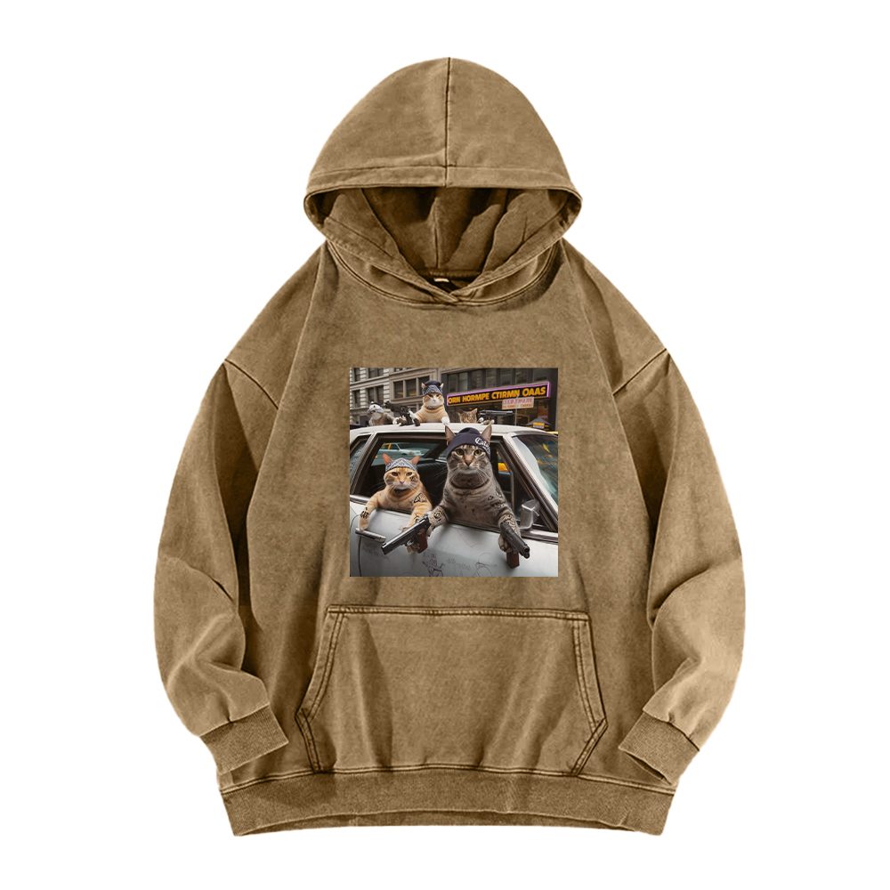 Whiskered Street Warriors Washed Hoodie