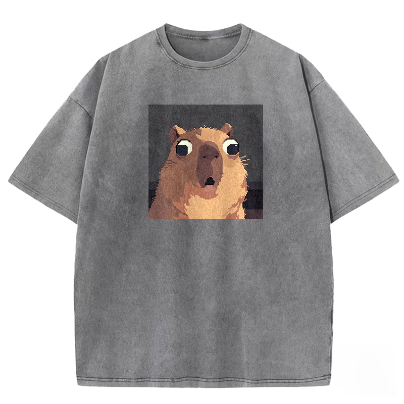 Shocked Pixel Cat Washed T-shirt