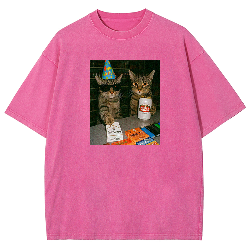 Birthday Buddies Washed T-shirt