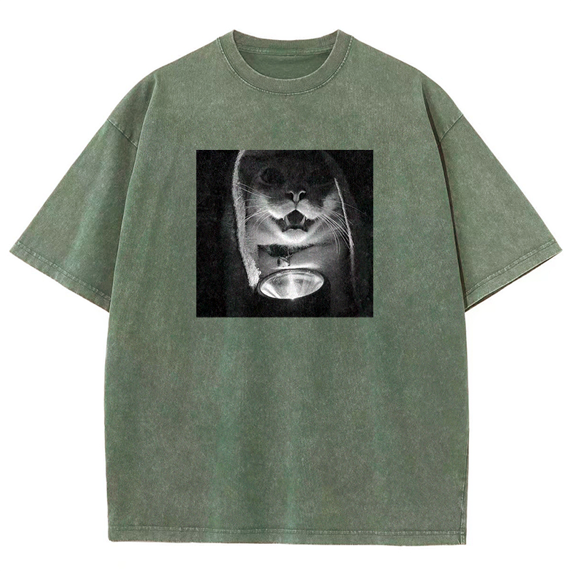Mystery Lantern Cat Washed T-shirt