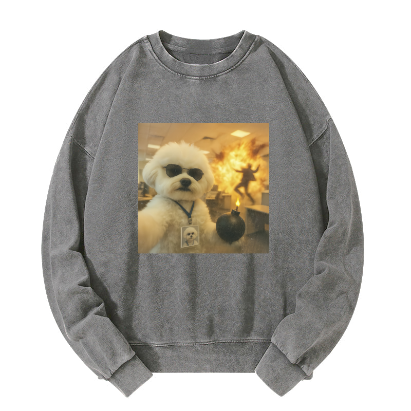 Wacky Dog Washed Sweatshirt