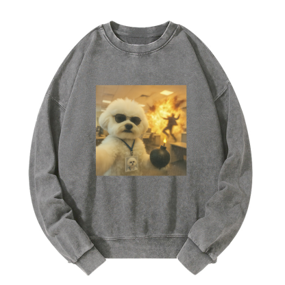 Wacky Dog Washed Sweatshirt