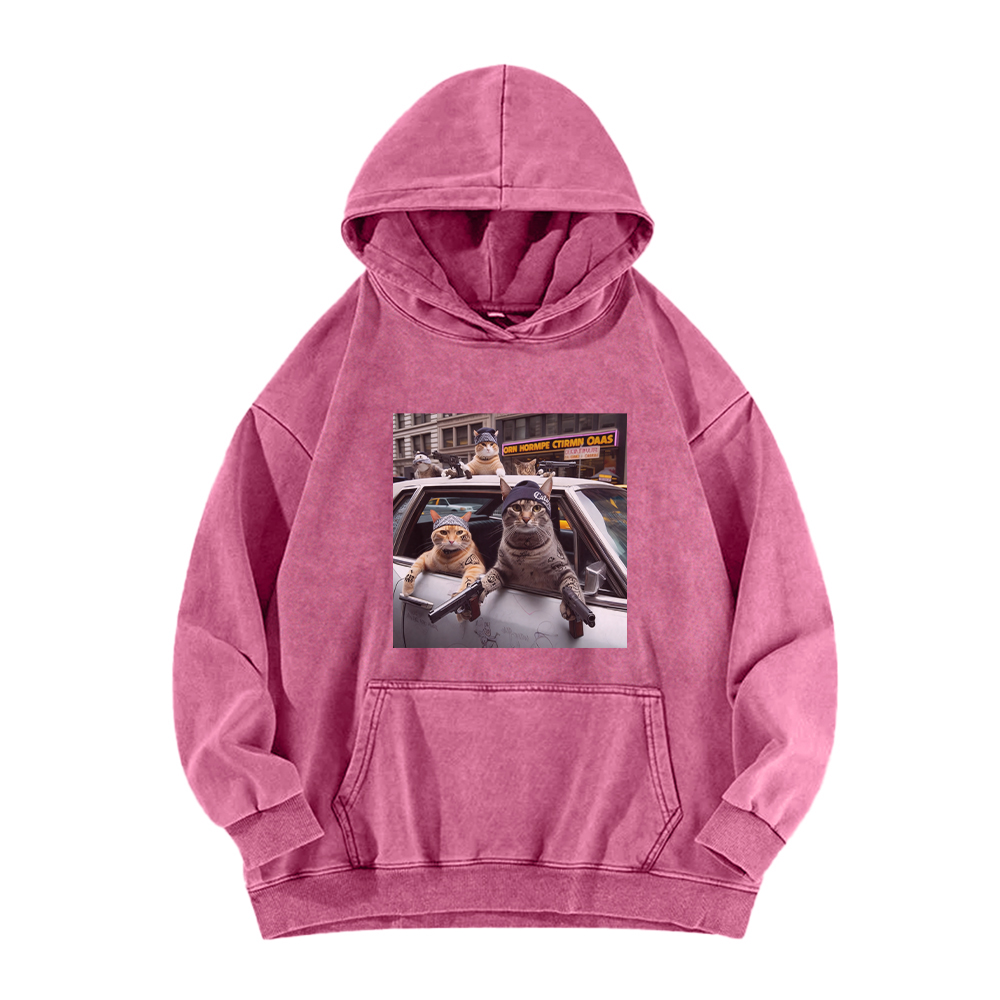 Whiskered Street Warriors Washed Hoodie