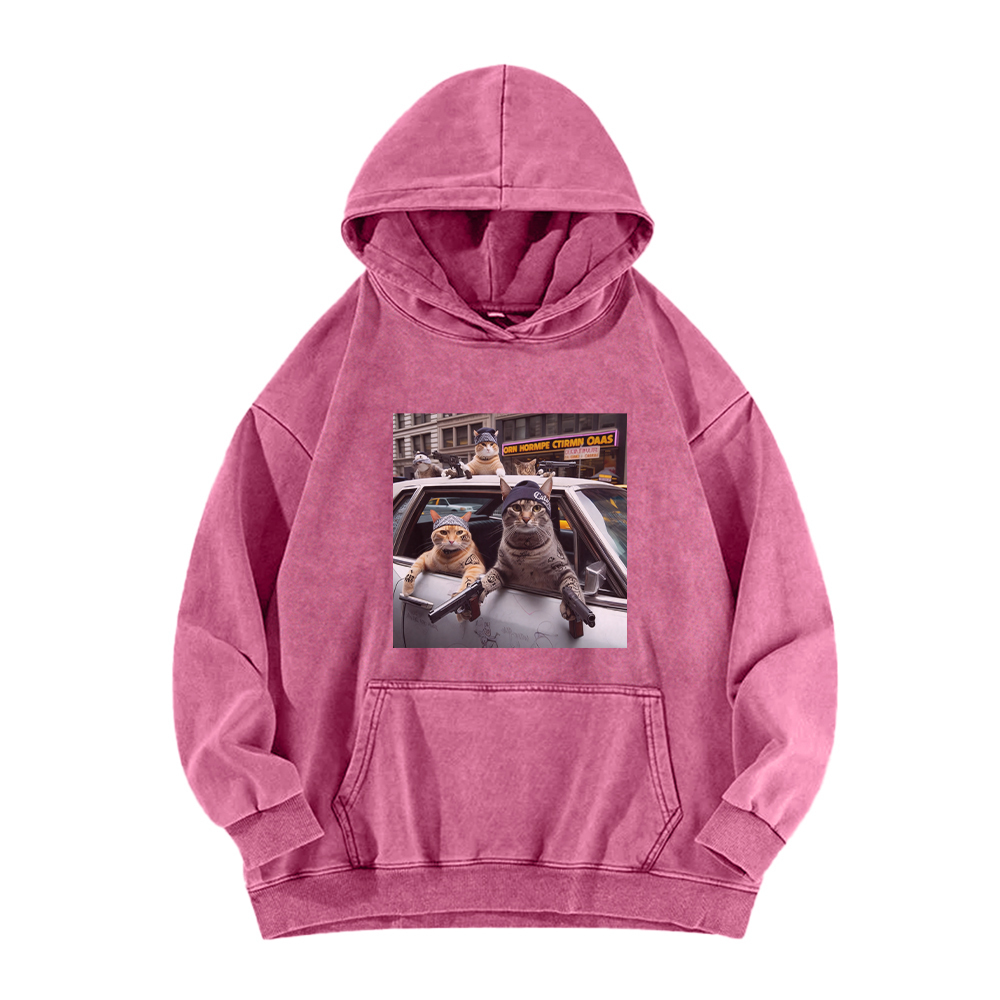 Whiskered Street Warriors Washed Hoodie