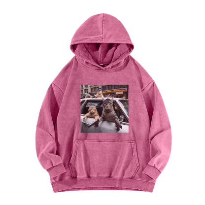 Whiskered Street Warriors Washed Hoodie